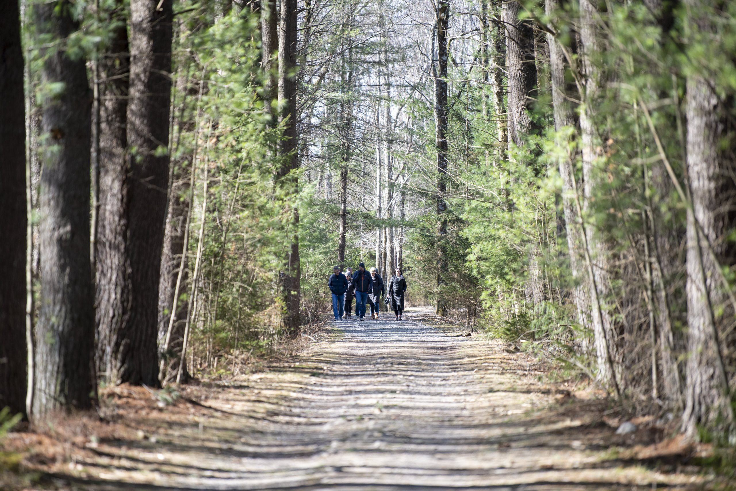 Hiking 4 #3225