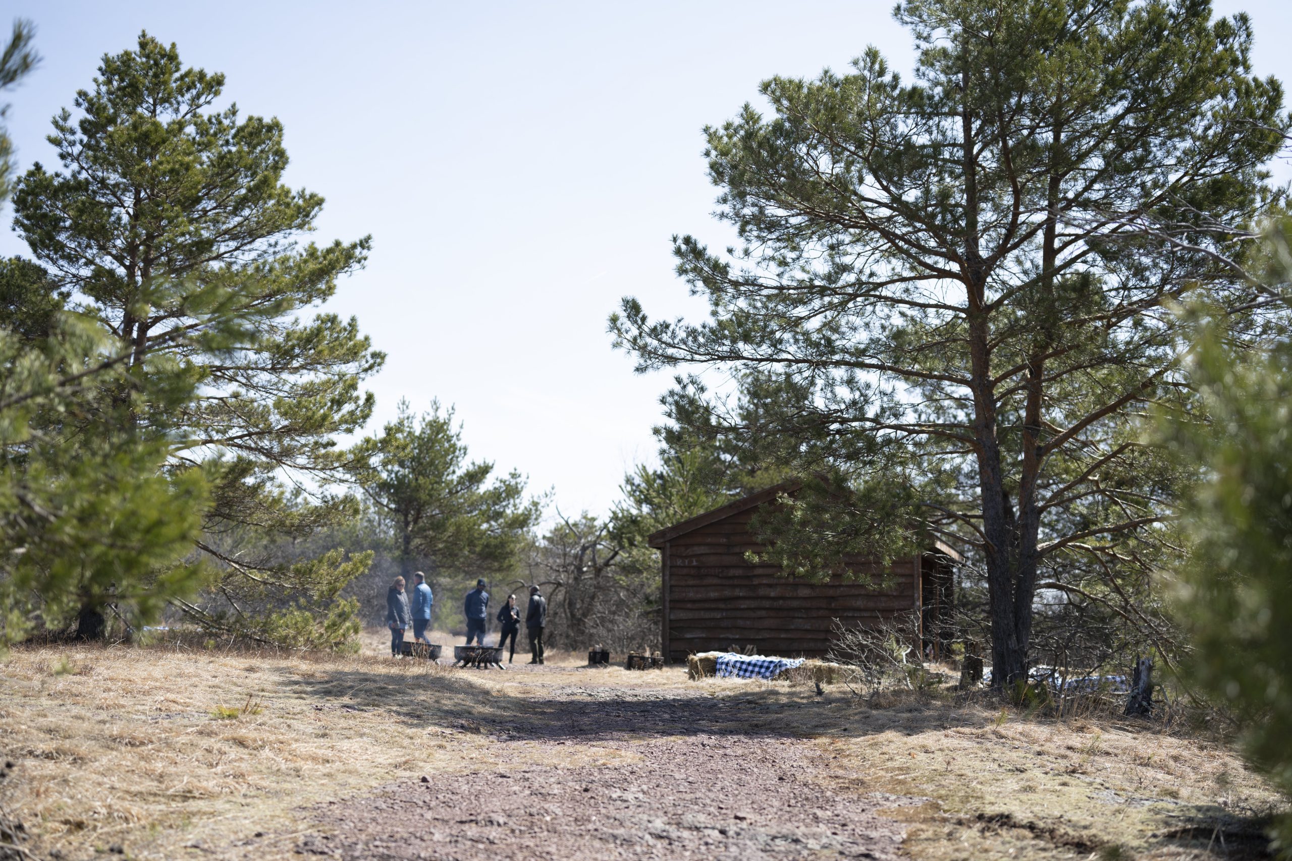 Hiking 5 #3225